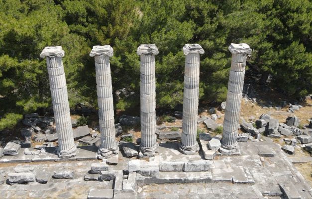 Tour de Priene, Mileto, Dídima